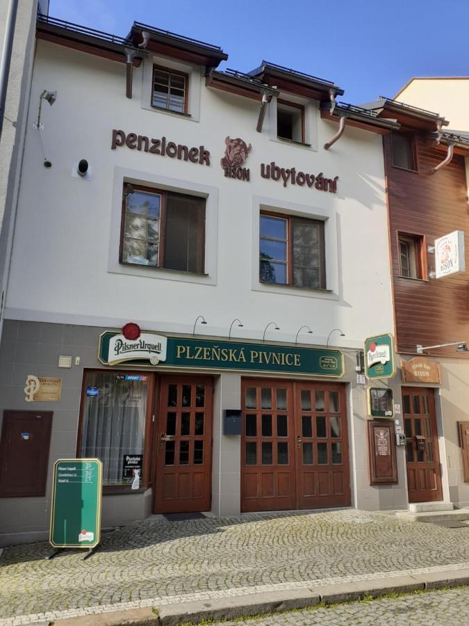 Ubytovani Nad Bisonem Hlinsko Dış mekan fotoğraf