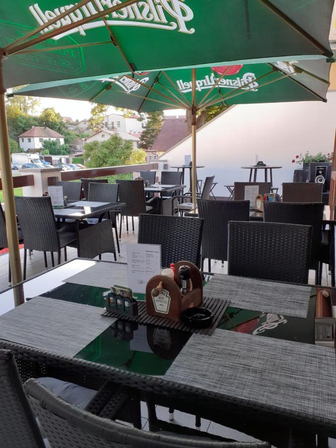 Ubytovani Nad Bisonem Hlinsko Dış mekan fotoğraf